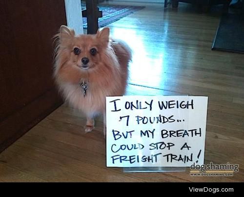 Hallie Tosis

I only weigh 7 pounds…but my breath could…