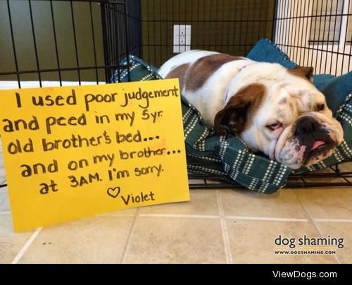 Violet uses poor judgement

I used poor judgement and peed in my…