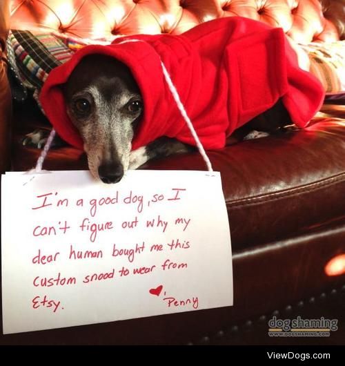 Little Red Riding Hood

After her hellish puppy years, where her…