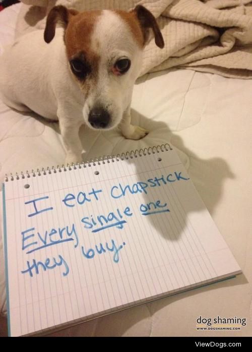 Jack Chap

Lillian is a typical Jack Russell who loves to get…