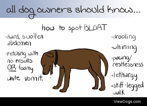 alldogownersshouldknow:

Symptoms of bloat include:
hard,…