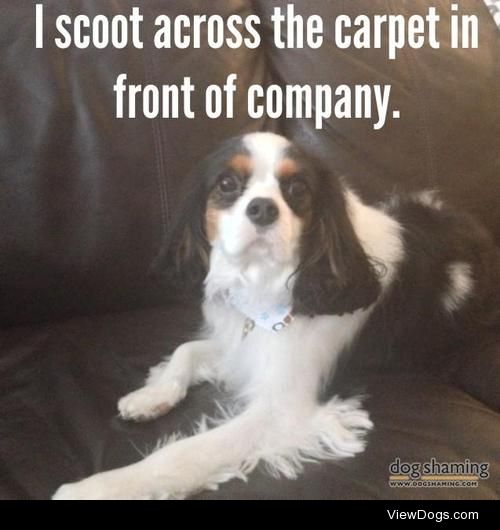 Boot Scootin’ Boogie

I scoot across the carpet in front of…
