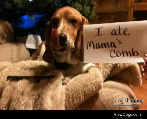 Oh, comb on!

Maggie ate Mama’s comb.