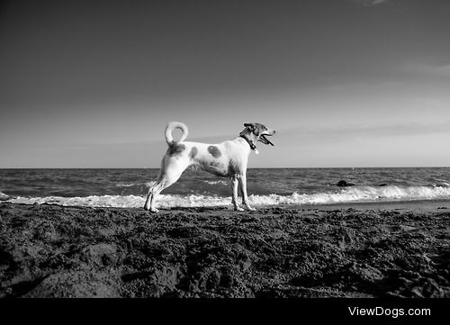 Ula, enjoying her beach day! Much more…