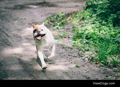 Barksdale Running / / Ben J. A-b