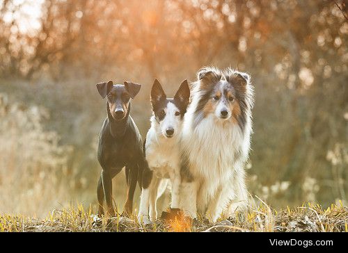 best friends / / Daria Kusch