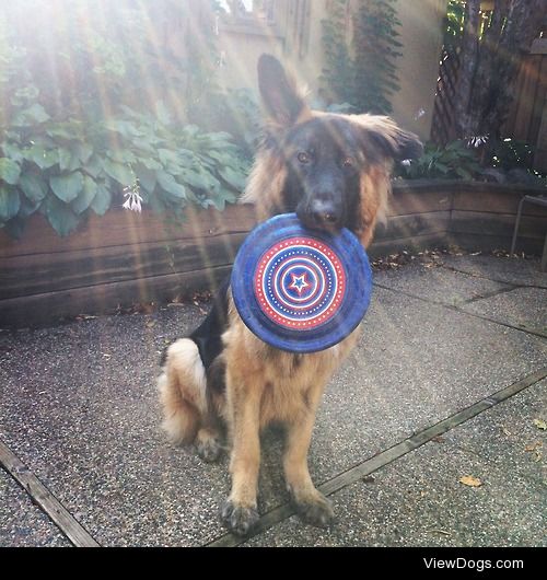 Frisbee anyone?  http://itsodin.tumblr.com/