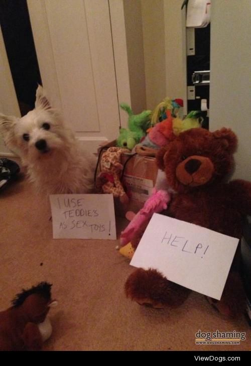 Whoa Westie!

I use Teddies as Sex Toys! Teddy says…