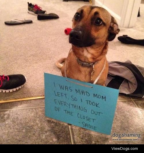 I’m coming out of the closet, looking fabulous!

“I was mad Mom…