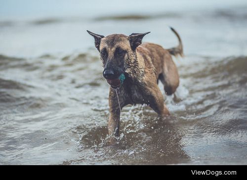 tempurafriedhappiness:

Evey at the beach on August 13, 2014