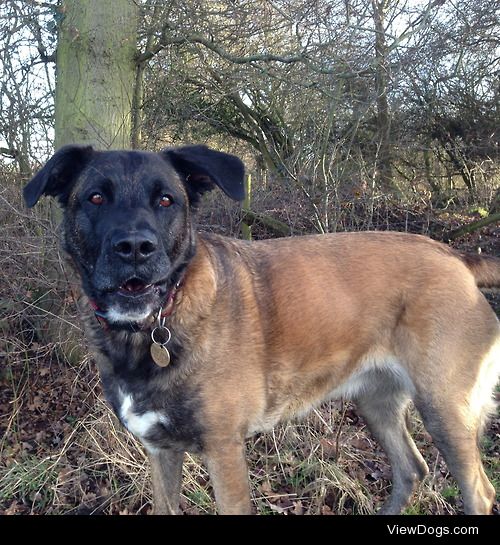 Megs and her cheeky face surely about to do something she…