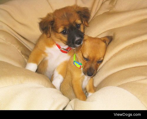 my 2 little ones in a bean bag chair :)