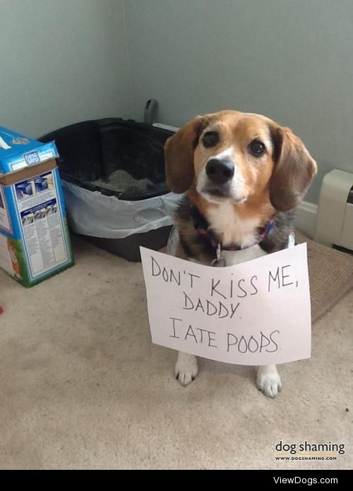 Mom leaves note for dad

Daddy refused kisses after Fenway took…