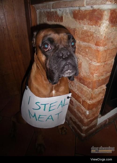 What a meathead!

“I STEAL MEAT” I went to visit my grandmother…