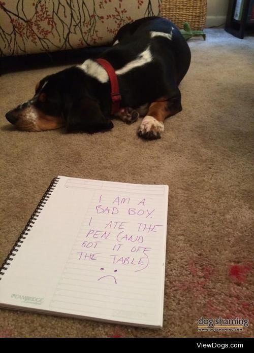 Dog appointment: let me pencil you in… oops!

Brutus is a bad…