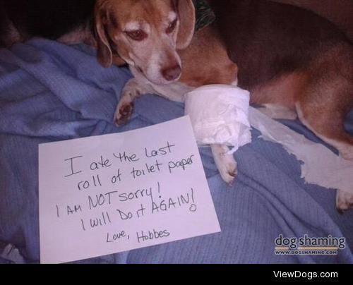 The Last Roll

I ate the last roll of toilet paper and I am NOT…