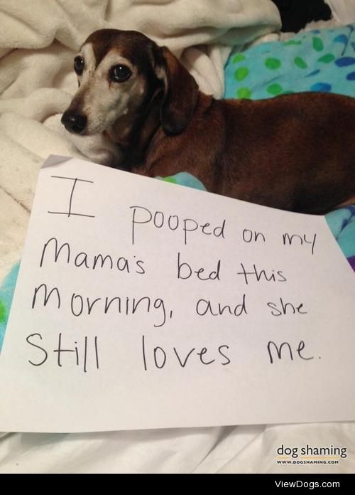 Mama Loves Her Old Weiner (and she doesn’t mean daddy)

“I…