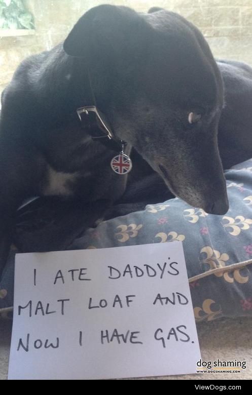 Get a loaf of this guy! PEE-YEW!!

“Whilst counter surfing this…