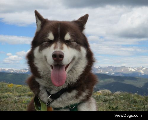 Max on top of the world at Mt. Evans. 