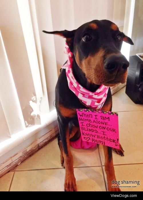 Blind Chewer

“When I am home alone… I chew on our…