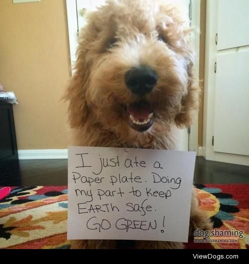 Going Green

I am not ashamed! It’s better than the…