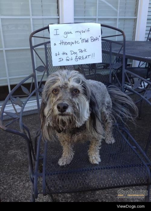 Dog Spa

“I gave myself a therapeutic mud bath at the dog park….