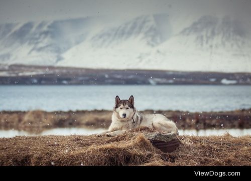 Game of Thrones / / Kari Fannar