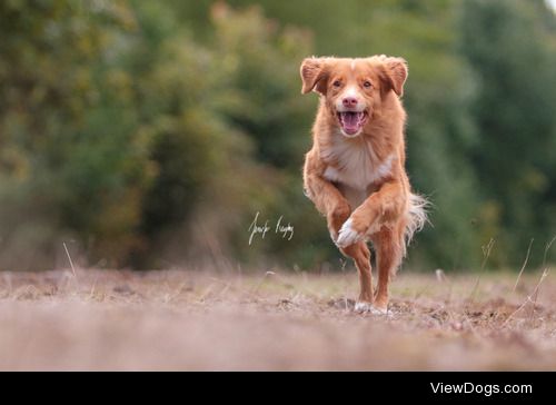 hadissima:

Toller girl Ayasha showing off her jumping skills -…