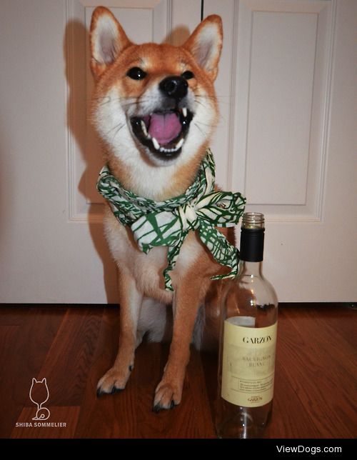 Happy Happy Sheeb!