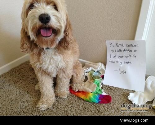 Cloth Diapers for the Discerning Dog

“My family switched to…