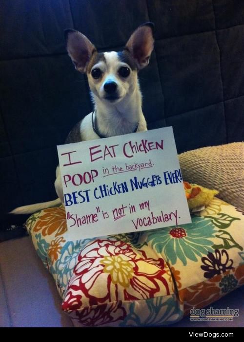 Best chicken nuggets ever

Sign says: I eat chicken poop in the…