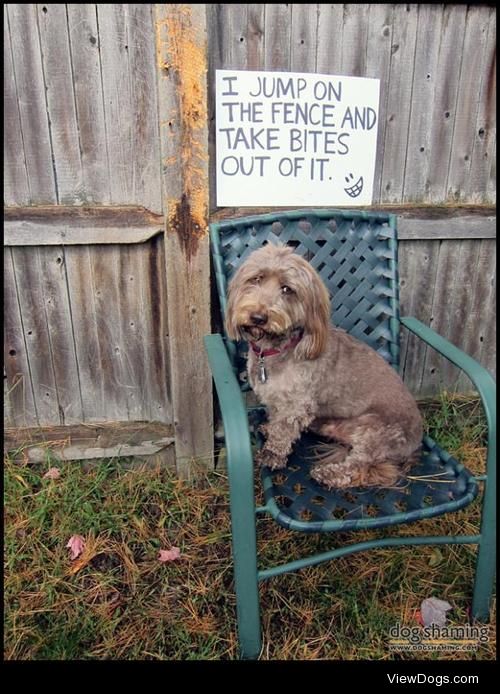 Fence Biter

“I jump on the fence and take bites out of it.” If…