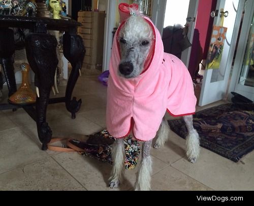 Lacey in her beach robe