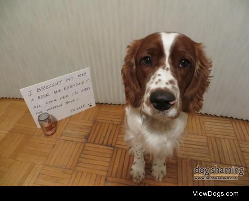 Trigger learns new trick!

I chased this beer down when it…