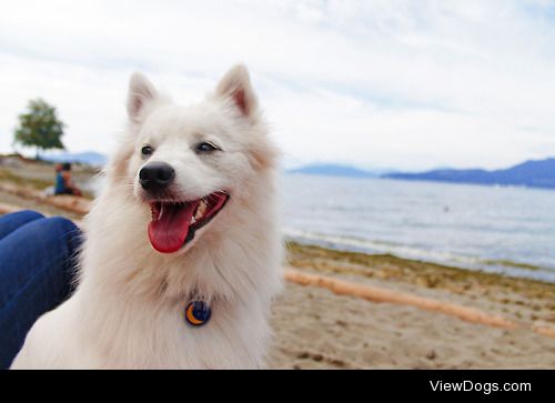 Cherish Pavlis




First trip to the beach!