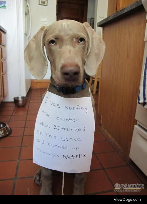 Ummm….what’s your return policy?

When I was counter surfing I…