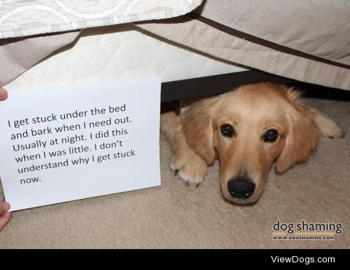 Golden opportunity for shaming!

“I get stuck under the bed and…
