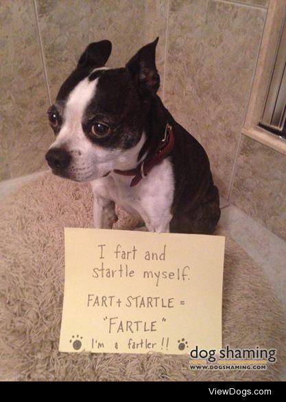 Beware of the “Fartler”

I fart and startle myself. Fart +…