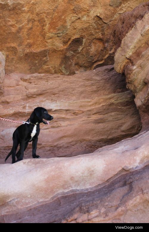 Nash first hiking trip to Red Rocks, Colorado.