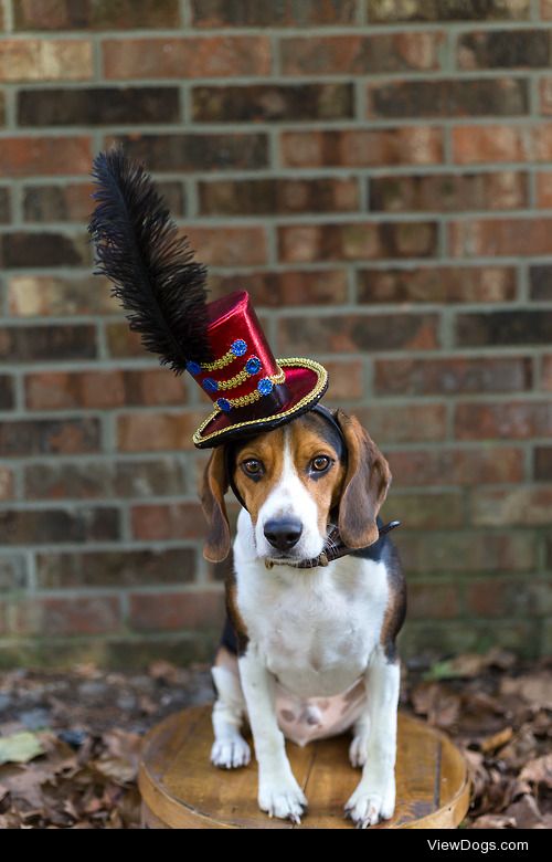 ashleymcadoo:

Happy Halloween from Hunter and I <3Follow him…