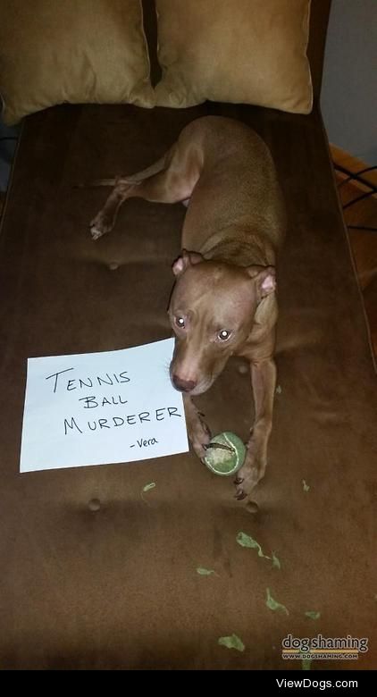 The tennis pro

“Tennis Ball Murderer – Vera” Vera needs a…