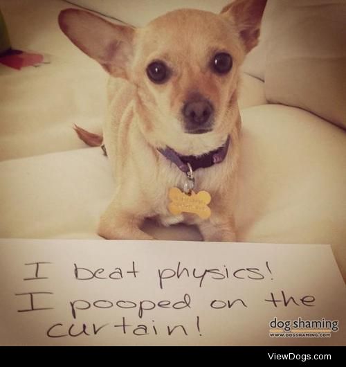 What, not curtain call?

"I beat physics! I pooped on the…