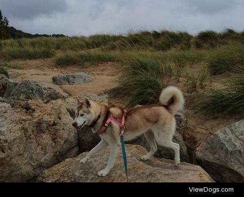 Jenna on the rocks