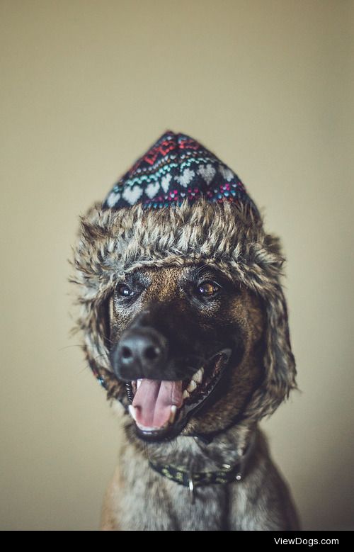 tempurafriedhappiness:

Pls to cold weather? Pls? Pls D: