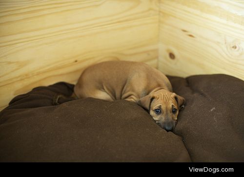 Brian Reiter




Alone in Bed