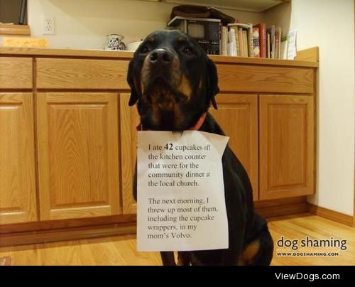 Shaming for Jesus

Bella, our 6 year old Rotweiler, ate 42 lemon…