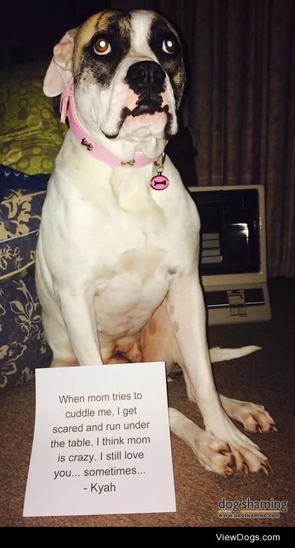 I love you mommy, sorta

“When mom tries to cuddle me, I get…