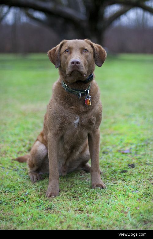 Kate Wilcox




Sitting pretty