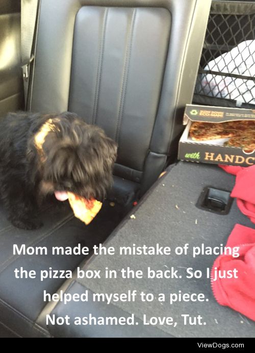 Take another little pizza my heart

Mom made the mistake of…