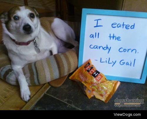 Corny Cravings

I eated all the candy corn. -Lily Gail I was…